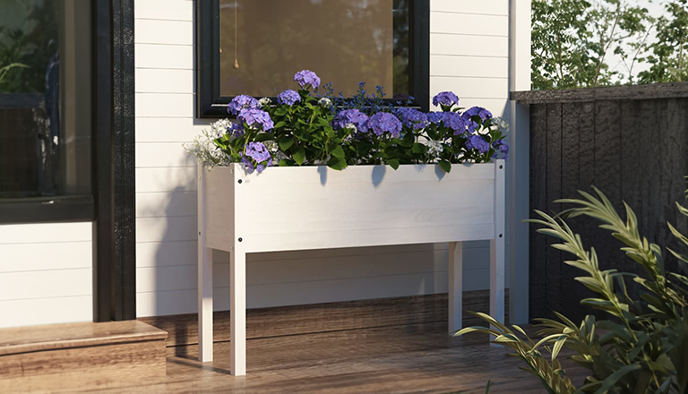 Home & Garden Collection
